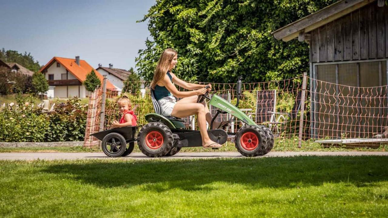 Urlaub Am Regen - Ferienhof Dirnberger Nittenau Exterior foto